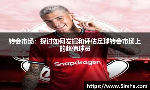 雷火电竞官方网站入口